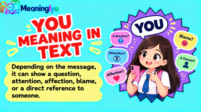 You Meaning in Text